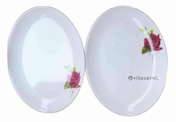 Lot de 06 Assiettes Ovales en plastique