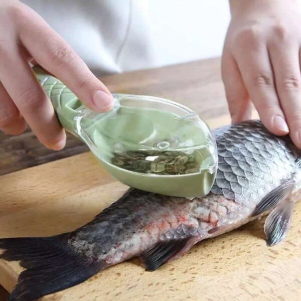 Écailleuse de poisson originale en plastique