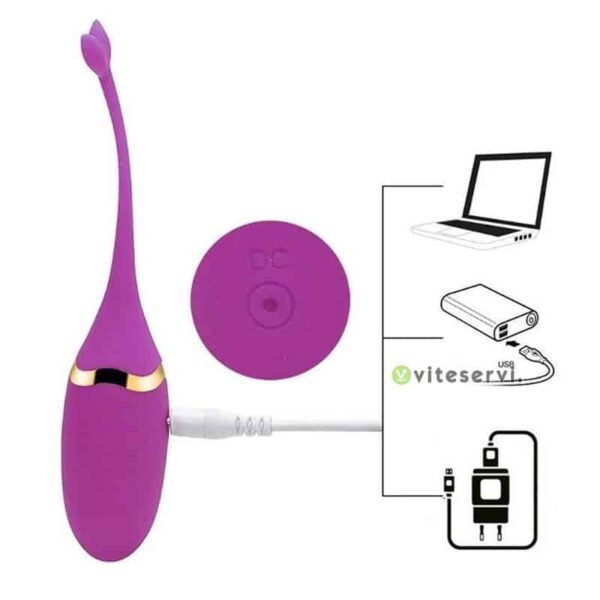 Oeuf vibrant et masseur du clitoris à 10 modes de vibrations rechargeables