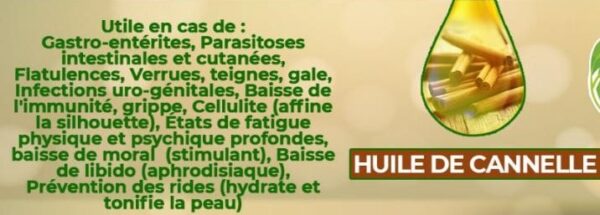 HUILE DE CANNELLE 100% BIO